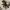 Spinnenweb Wandplank – Halloween Gotische Decoratie