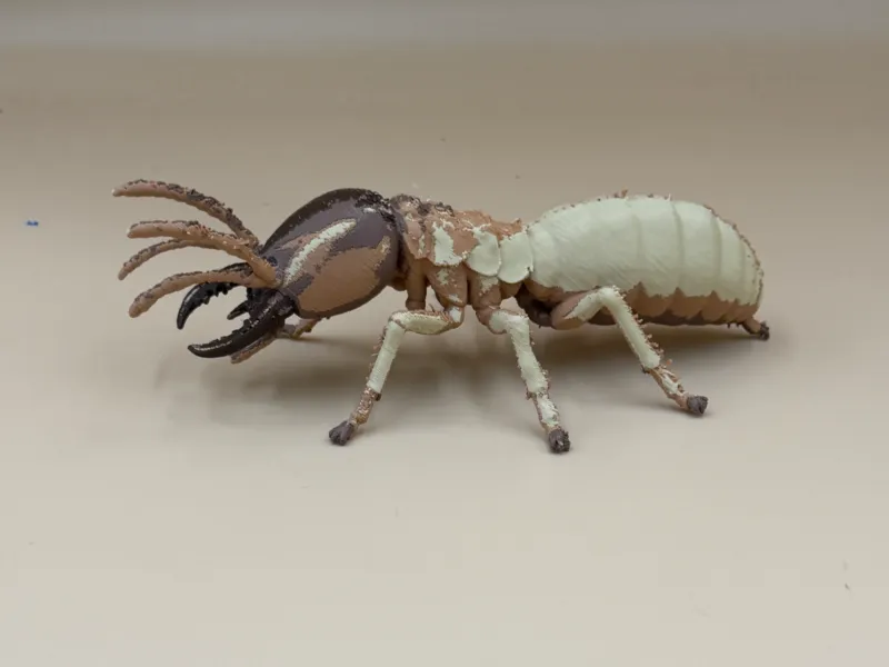 Soldier Termite