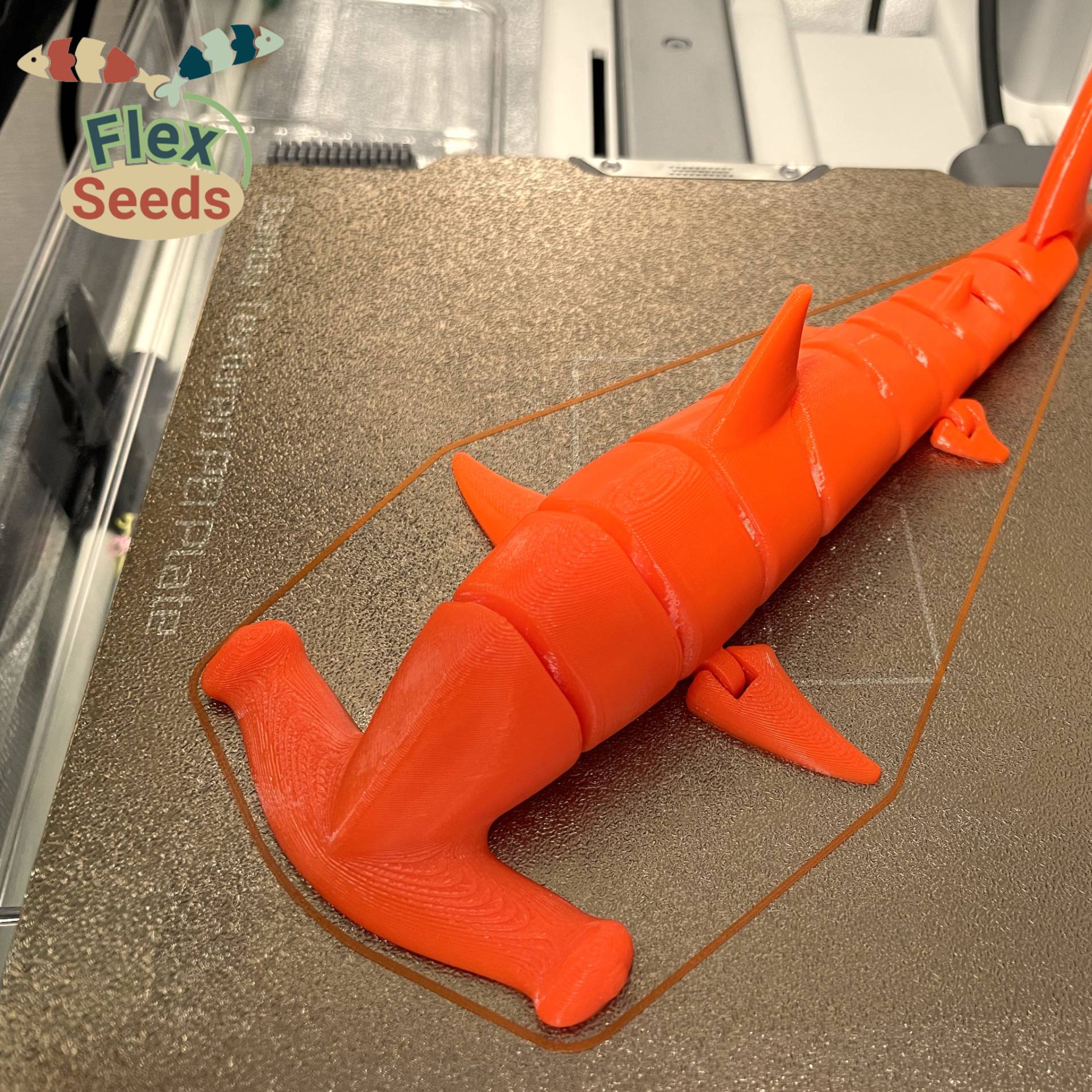 Home print settings: Hammerhead_shark_1Color_Creality v1.3mf