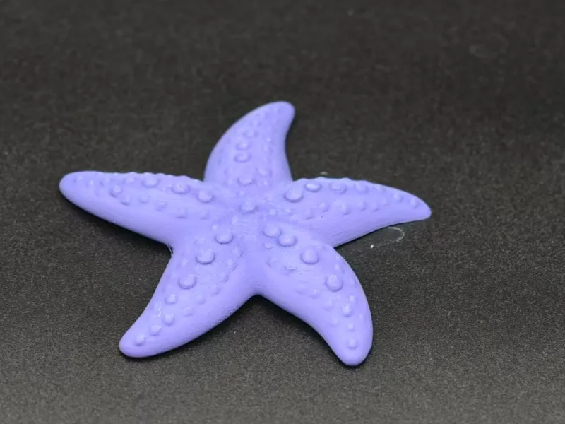 紫色海星