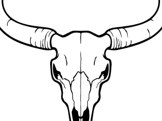 Bull