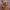 ESCULTURA AMOR MATERNO