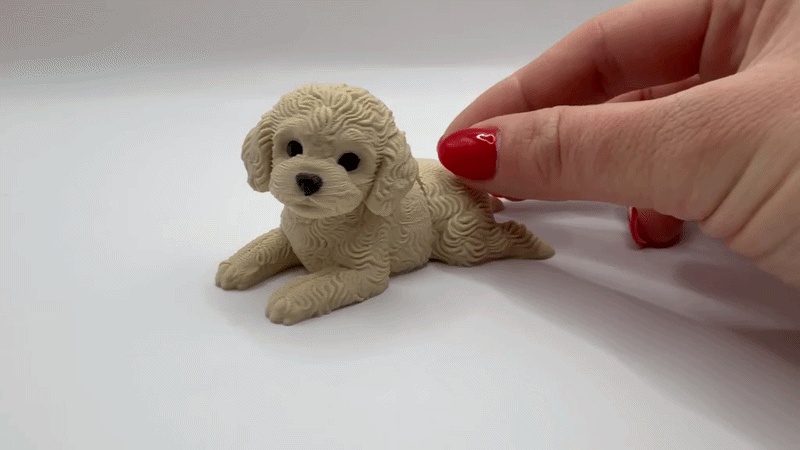 The Flexi-Poodle Pup