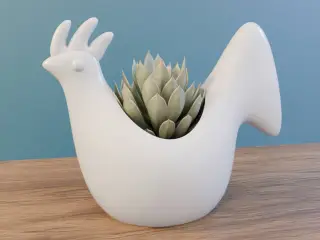 chiken planter