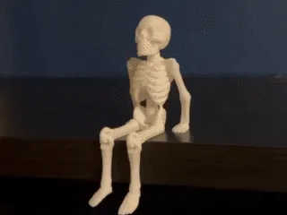 Sitting skeleton- articulated