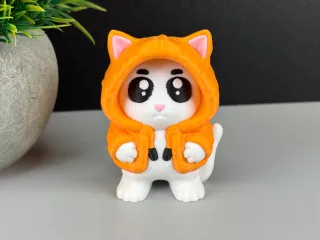 Hoodie Cat