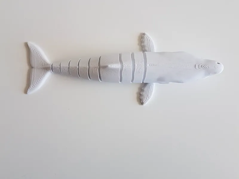 Sperm Whale Flexi