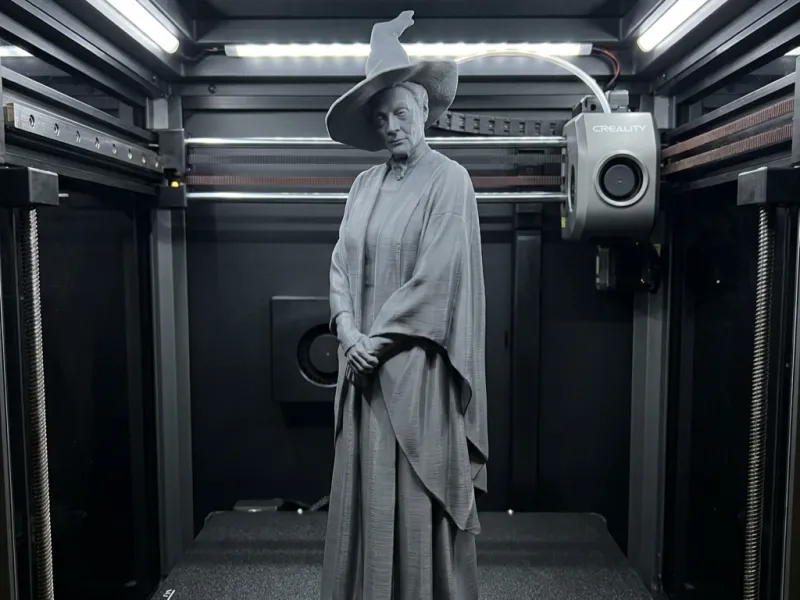 Minerva McGonagallMinerva McGonagall –Harry Potter Fan Sanatı