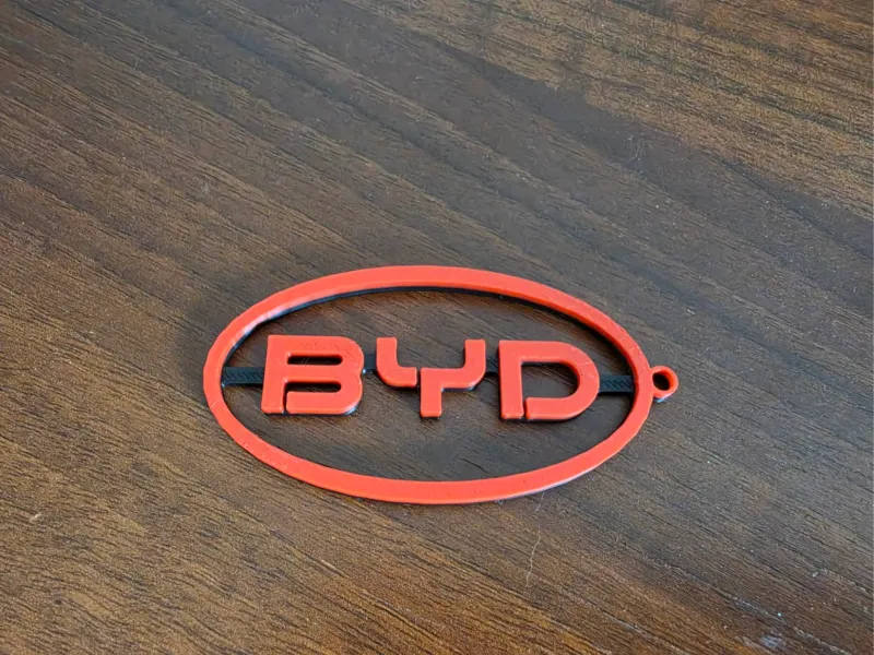 BYD keychain