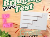 Simple Bridging Test-0