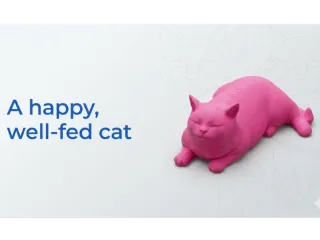 А happy, well-fed cat