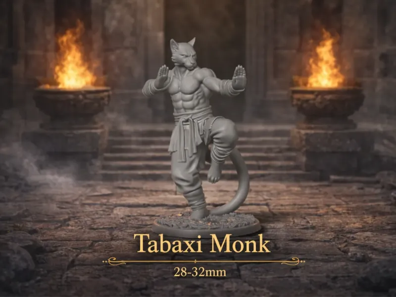 Tabaxi Monk - DND miniature