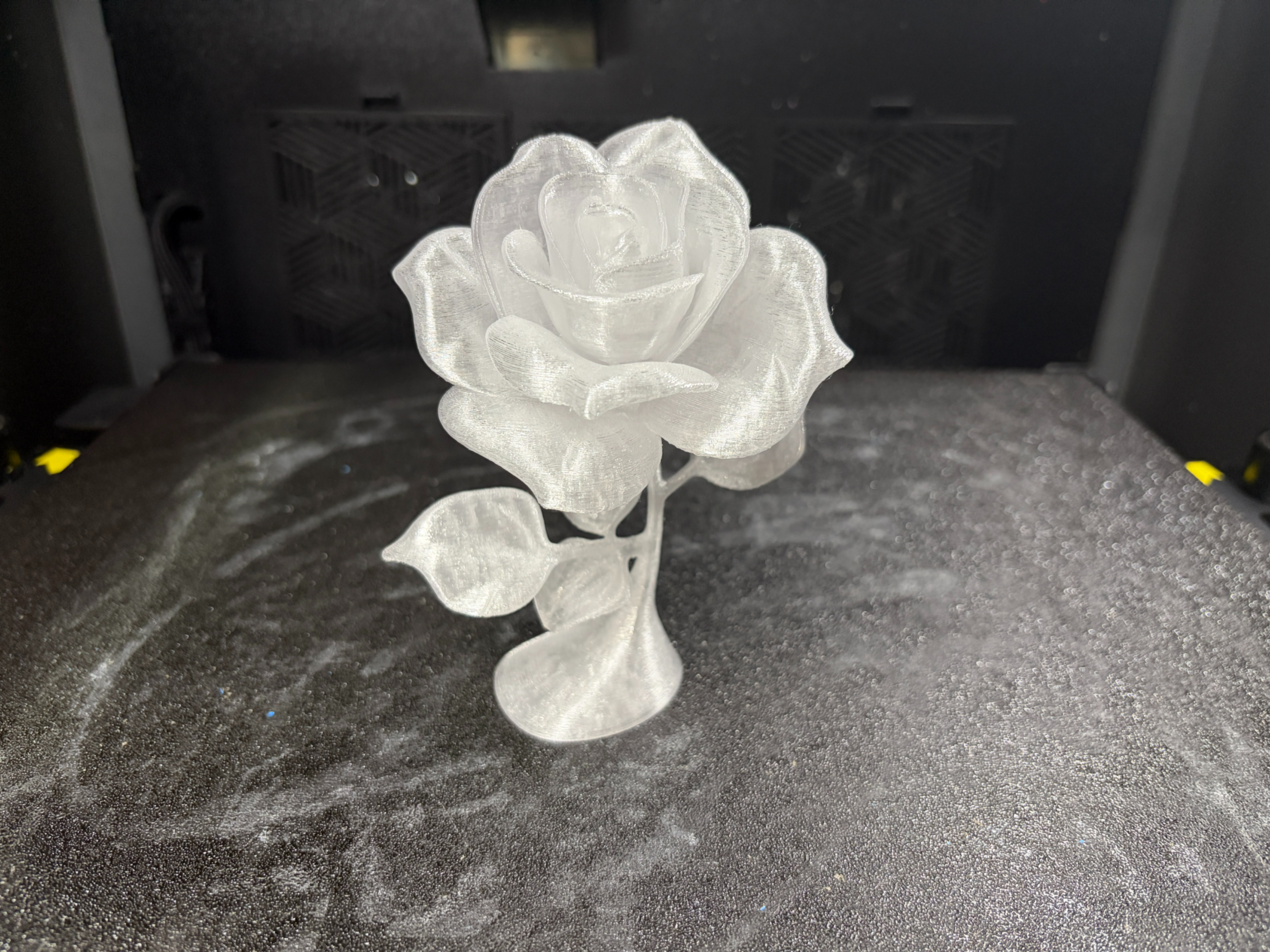 Home print settings: rose.3mf