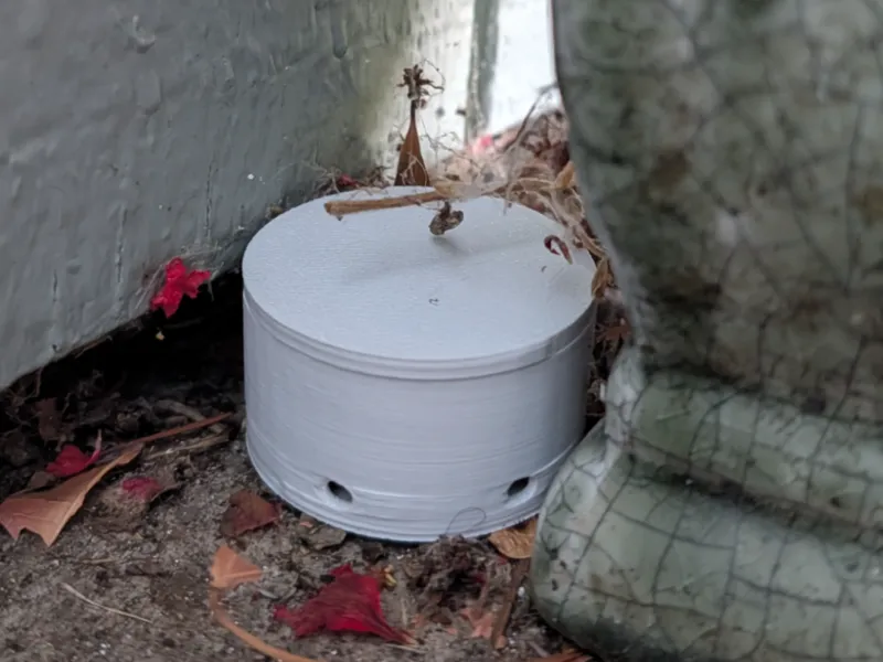 Ant Bait Trap