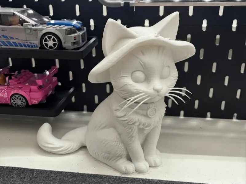Gatito con Sombrero 🐱👒