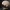 Anatomically Accurate Brain Sculpture 3D Model