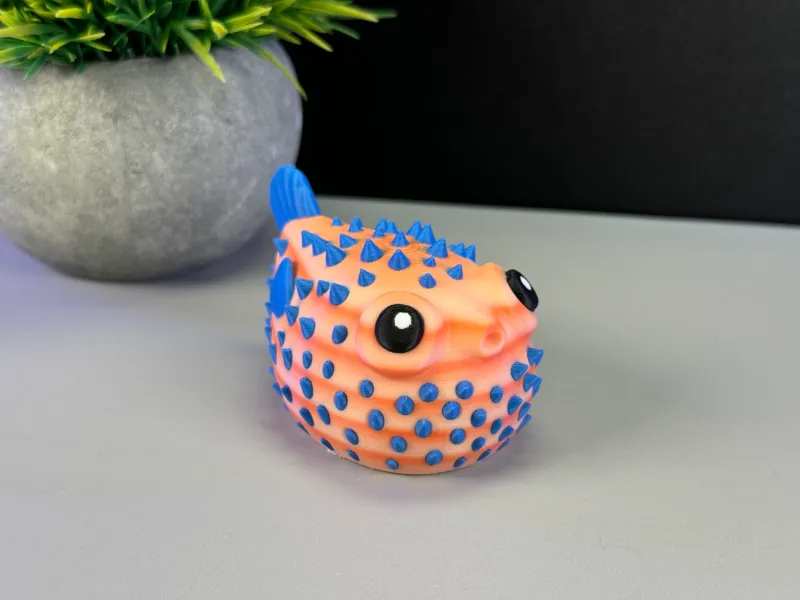 Cute Puffer Fish