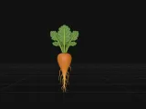 vegetablle-0