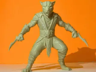 panther warrior