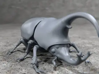 Dung Beattle