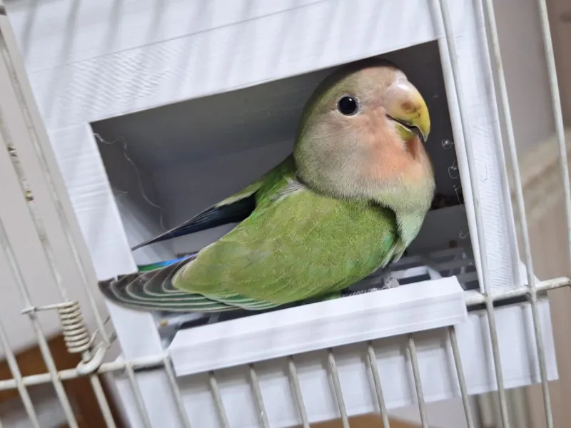 comedero de pájaros (mejorado)