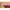 Custom name for AMANDA pencil
