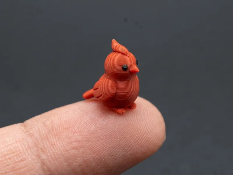 cardinal tiny bird