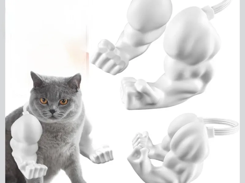 Braços Musculosos de Gato