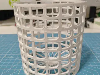 Peristeria orchid pot
