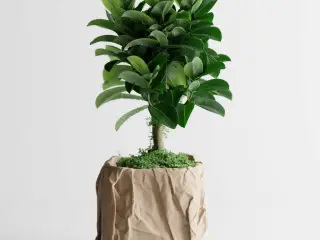 Crumbled Paper Pot – Now Available in Square Form!