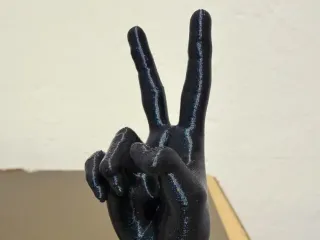 Peace sign hand