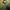 Bookmark Kitty _ pirata