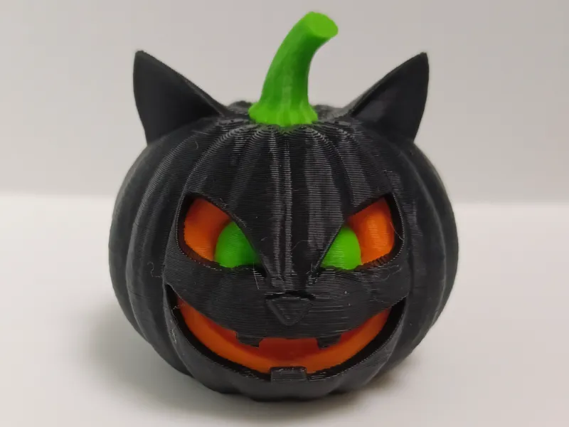 Calabaza Gato Halloween 🎃