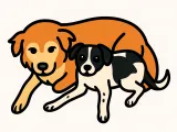 Doggo Bookmark-0