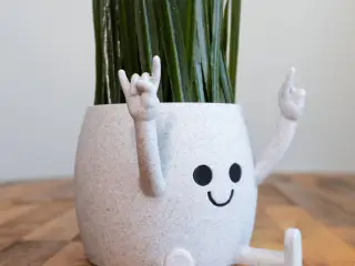 Happy Sitting Pot Horns Hand