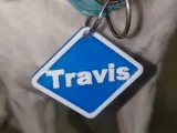 Dog Tag No Name-0