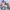 Tulip Flower Figure | Spring Floral Bouquet
