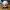 File a colori 3mf della Pokéball di Arcanine