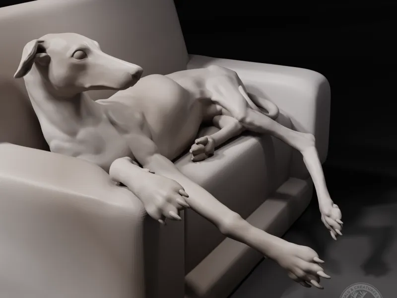 Greyhound on the couch