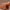 Low Poly Pirate Cannon