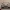 WALLART ESCORT RS COSWORTH