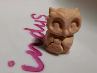 Tiny Owl