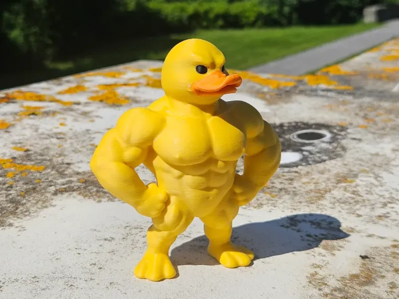 Canard Musclé