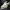 Fantasy Horned Skull – Demonic Skull with Horns