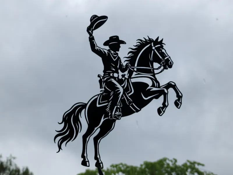 Cowboy Horse Rider 2D Wall Art