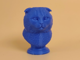 Scottish Fold Cat Bust-0