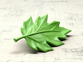 Simple Leaf Decoration