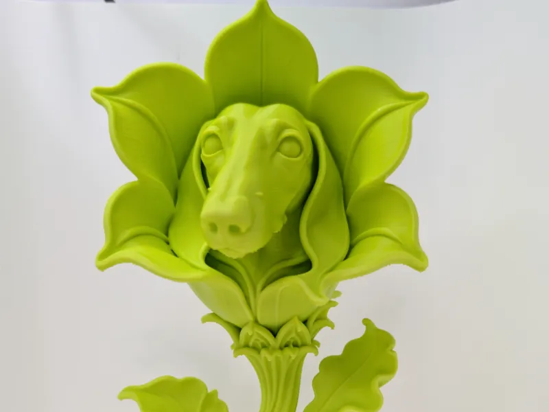 La Flor de Corazón Obstinada