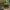 Monster Schatzkiste – Fantasy Aquarium Deko
