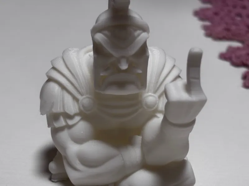 Rude warrior